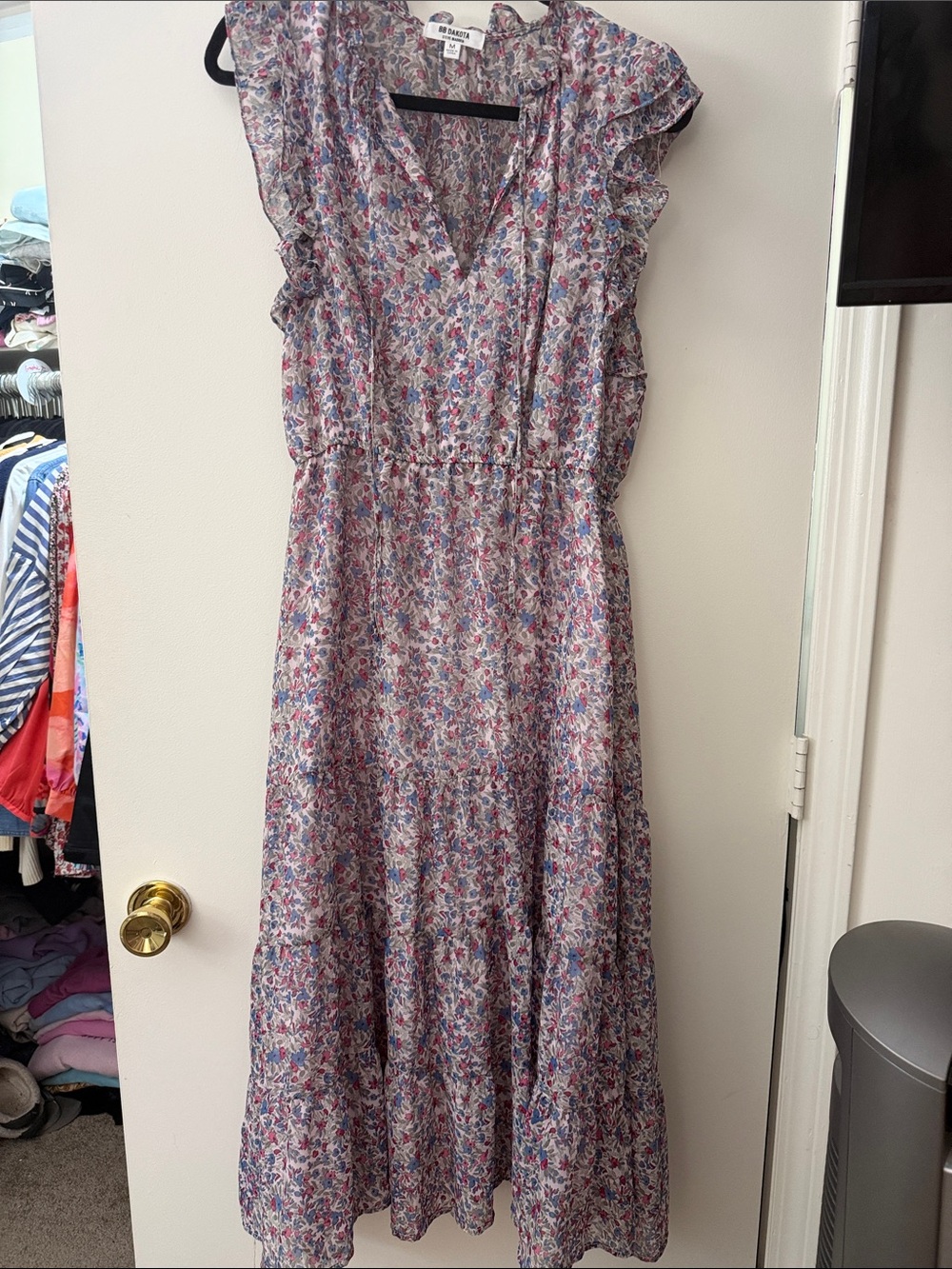 BB Dakota by Steve Madden Floral Ruffle Maxi Dress in Pink and Blue